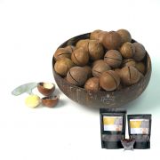 Macadamia nut in shell